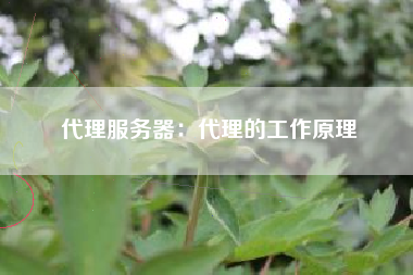 代理服务器：代理的工作原理