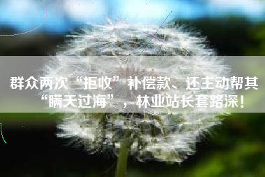 群众两次“拒收”补偿款、还主动帮其“瞒天过海”，林业站长套路深！