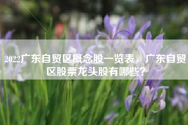 2022广东自贸区概念股一览表，广东自贸区股票龙头股有哪些？