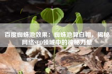百度蜘蛛池效果：蜘蛛池算白帽，揭秘网络SEO领域中的神秘力量