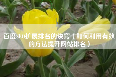 百度SEO扩展排名的诀窍（如何利用有效的方法提升网站排名）