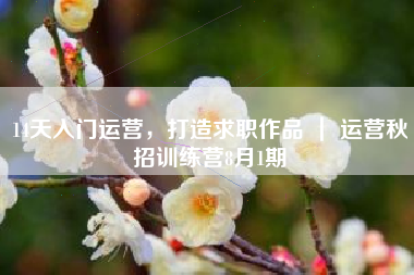 14天入门运营，打造求职作品 ｜ 运营秋招训练营8月1期