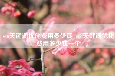 seo关键词优化费用多少钱_seo关键词优化费用多少钱一个