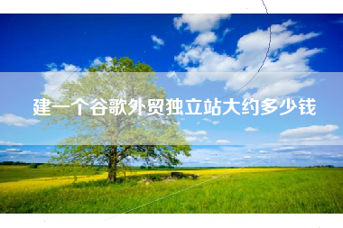 建一个谷歌外贸独立站大约多少钱