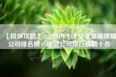 【投保攻略】2022国内十大安全靠谱理财公司排名榜，理财公司排行榜前十名