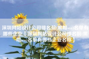 深圳网站设计公司排名前(黑帽seo)名单有哪些企业【深圳网站设计公司排名前(黑帽seo)名单有哪些企业名称】