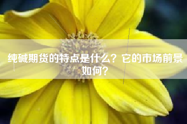 纯碱期货的特点是什么？它的市场前景如何？