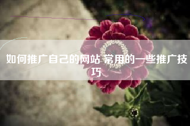 如何推广自己的网站 常用的一些推广技巧
