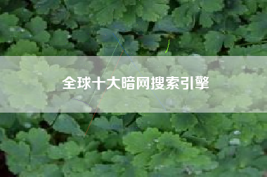 全球十大暗网搜索引擎