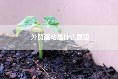 外贸建站是什么意思
