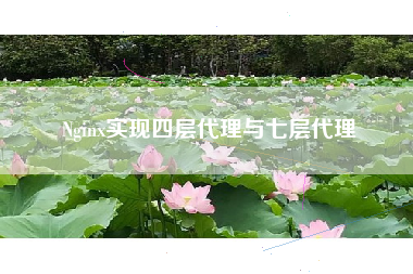 Nginx实现四层代理与七层代理