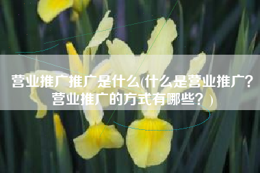 营业推广推广是什么(什么是营业推广？营业推广的方式有哪些？)