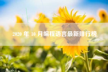 2020 年 10 月编程语言最新排行榜