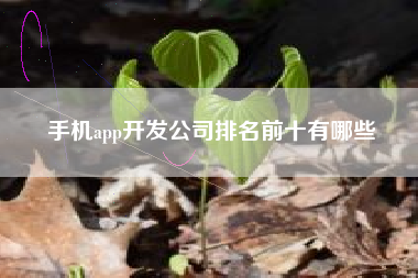 手机app开发公司排名前十有哪些