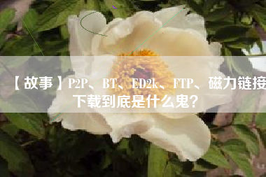 【故事】P2P、BT、ED2k、FTP、磁力链接下载到底是什么鬼？