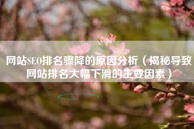 网站SEO排名骤降的原因分析（揭秘导致网站排名大幅下滑的主要因素）