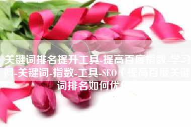 关键词排名提升工具-提高百度指数-学习网-关键词-指数-工具-SEO(提高百度关键词排名如何优化) 关键词排名提升工具-提高百度指数-学习网-关键词-指数-工具-SEO(提高百度关键词排名如何优化)