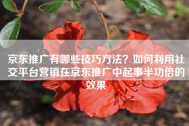 京东推广有哪些技巧方法？如何利用社交平台营销在京东推广中起事半功倍的效果