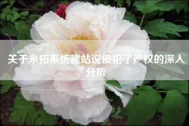 关于米拓系统建站说侵犯了产权的深入分析