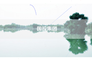 国投集团 国投集团