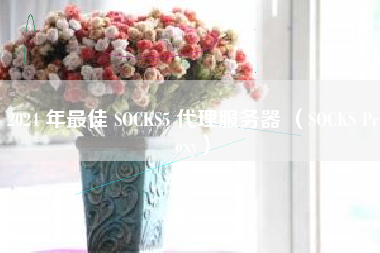 2024 年最佳 SOCKS5 代理服务器 （SOCKS Proxy）