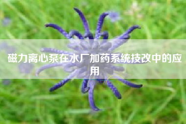 磁力离心泵在水厂加药系统技改中的应用