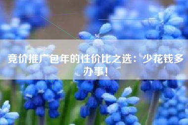 竞价推广包年的性价比之选：少花钱多办事！