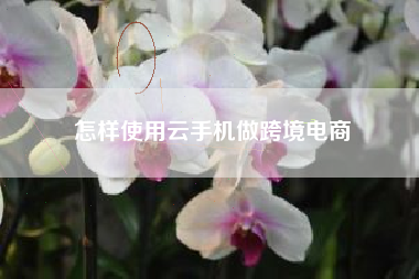 怎样使用云手机做跨境电商