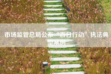 市场监管总局公布“百日行动”执法典型案例