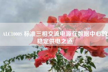 ALC1000S 标准三相交流电源在数据中心的稳定供电之道