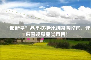 “超新星”品类扶持计划圆满收官，速来围观爆品类目榜！