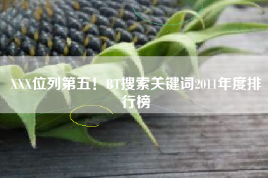XXX位列第五！BT搜索关键词2011年度排行榜