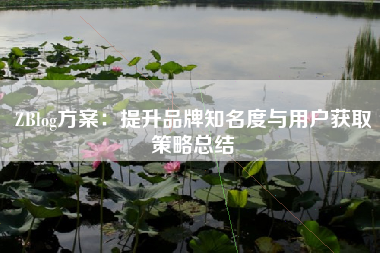 ZBlog方案：提升品牌知名度与用户获取策略总结