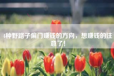 4种野路子偏门赚钱的方向，想赚钱的注意了！