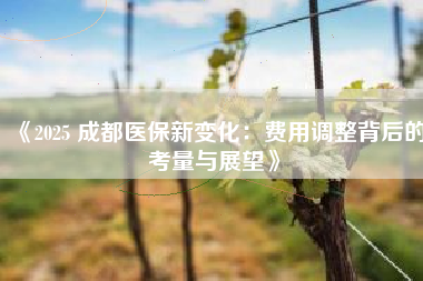 《2025 成都医保新变化：费用调整背后的考量与展望》