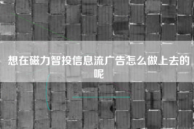 想在磁力智投信息流广告怎么做上去的呢