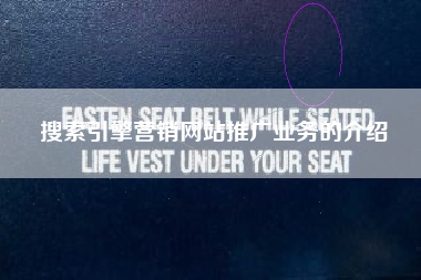 搜索引擎营销网站推广业务的介绍