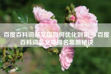 百度百科词条义项如何优化到第一 百度百科词条义项排名靠前秘诀