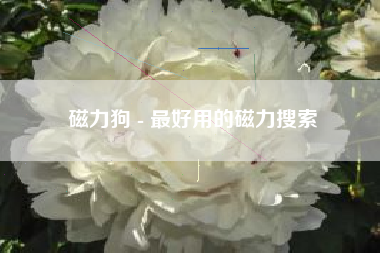 磁力狗 - 最好用的磁力搜索