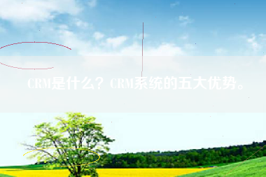 CRM是什么？CRM系统的五大优势。