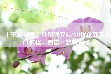 【干货分享】外贸独立站SEO优化新手入门教程,看这一篇就够了 【干货分享】外贸独立站SEO优化新手入门教程,看这一篇就够了