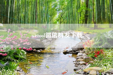 wetool微信群发下载