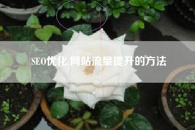 SEO优化,网站流量提升的方法