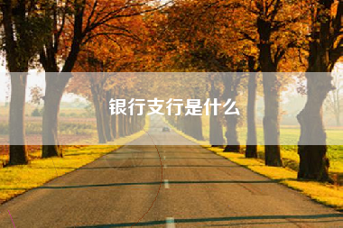 银行支行是什么