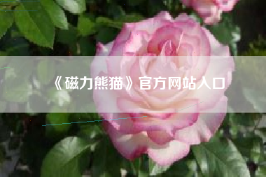 《磁力熊猫》官方网站入口