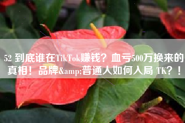 52 到底谁在TikTok赚钱？血亏500万换来的真相！品牌&普通人如何入局 TK？！