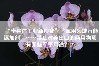 “半导体工业新粮食”“军用领域万能添加剂”……禁止对美出口的两用物项有哪些军事用途？(2)