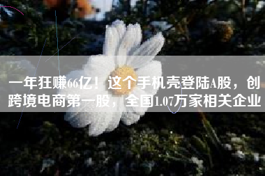 一年狂赚66亿！这个手机壳登陆A股，创跨境电商第一股，全国1.07万家相关企业