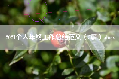 2021个人年终工作总结范文（5篇）.docx