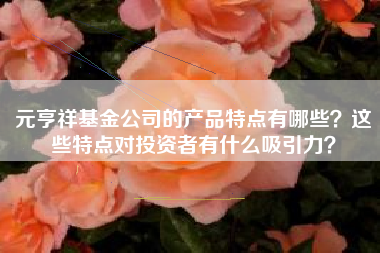 元亨祥基金公司的产品特点有哪些？这些特点对投资者有什么吸引力？